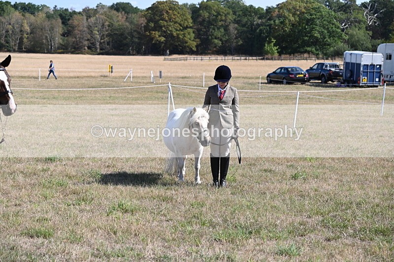 WJ6_4267 - Class 16 Condition & Turn Out