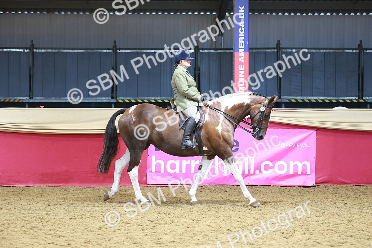 SBM_12395 - Class 103 - HOYS Veteran Qualifier - Ridden Pre Vet