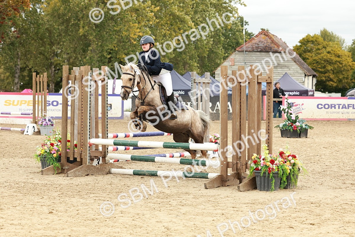 SBM_67073 - J13 - Junior Pony 60cm Championship