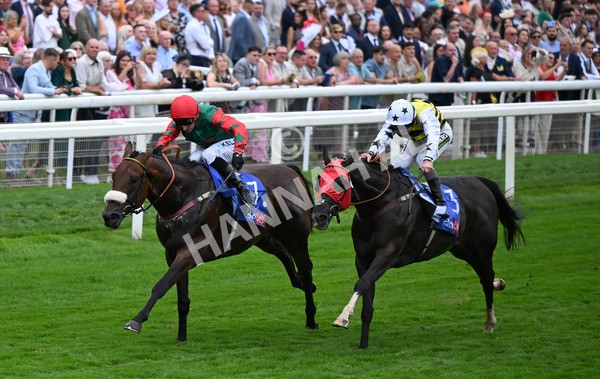 230825-220 Northern Ticker - Race 5 4.10pm Sky Bet Constantine Handicap