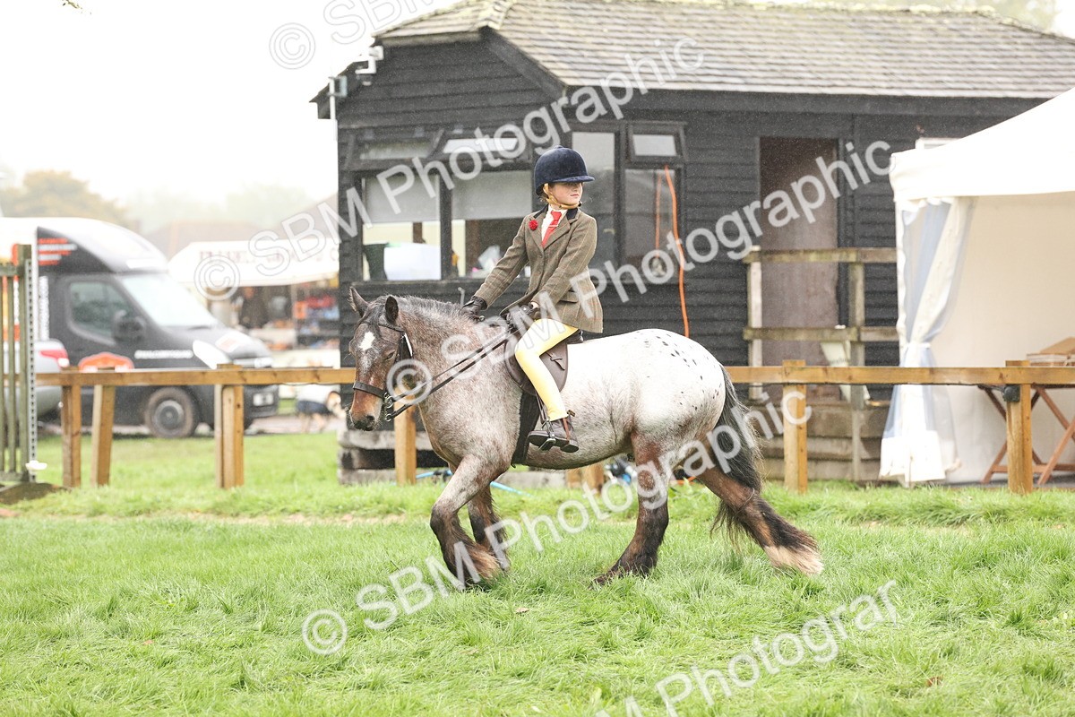 SBM_72763 - S70 - Traditional Cob Ridden