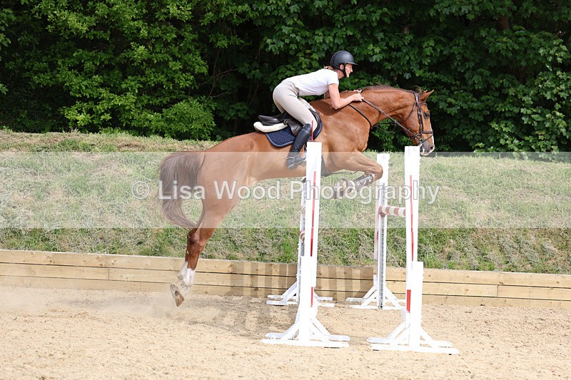 3E7A7770 - Class 8: Senior Foxhunter/1.20 open