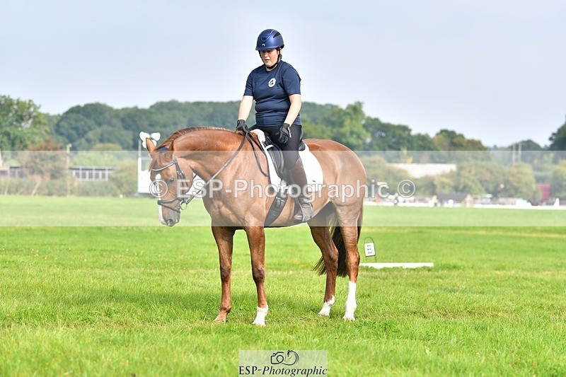 230817-092953-02565 - Abbie's 1st Group - Dressage