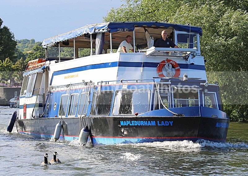 140703 MAPLEDURHAM LADY WT7A9201 - HENLEY ROYAL REGATTA - THURSDAY 3RD July 2014