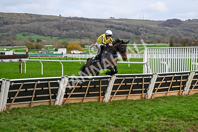 161125-Race 1-Ambiente Friendly-5552 - Race 1