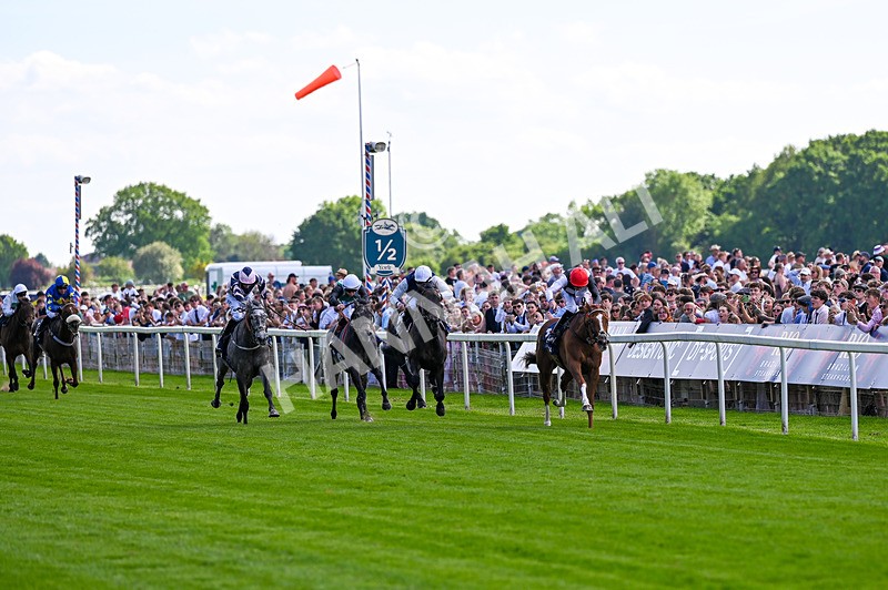 230526-Race 4-Danielle-6975 - Race 4 15.15pm William Hill Bronte Cup Fillies' Stakes