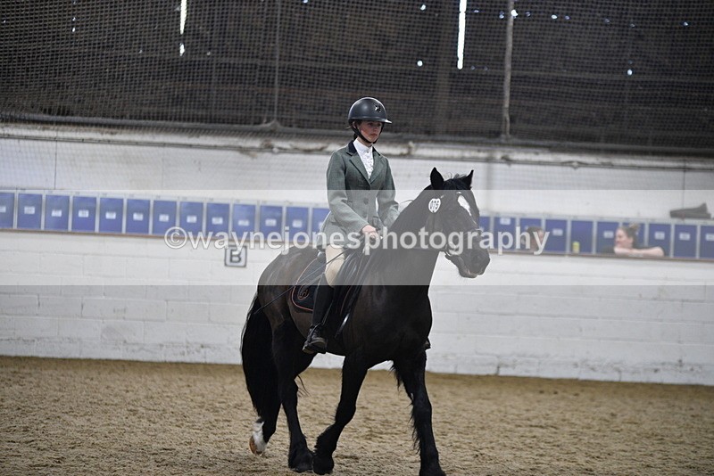 WJ5_7869 - Class 13 Ridden Part Breed