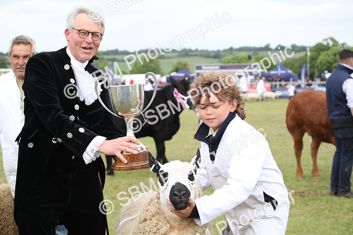 SBM_07885 - Grand Parade