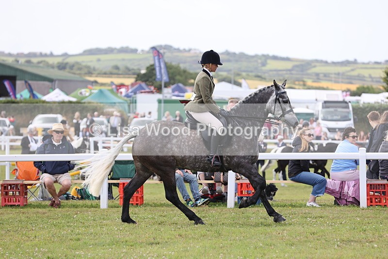 JPP_1456 - Class 17: Cornish Combination Open