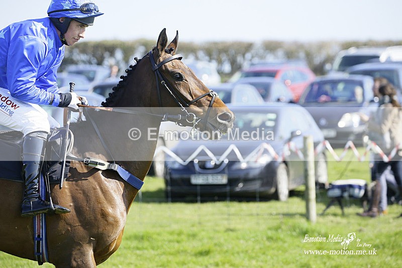 PtP 190322 190 - Wilton Hunt PtP Milborne St Andrew 19/03/22