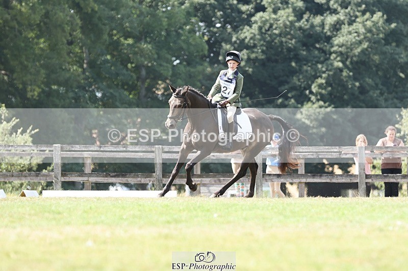 250823A-134927-31375 - Arena D