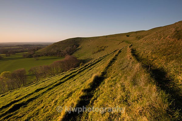 Evening light, Hambledon Hill - Gallery 5