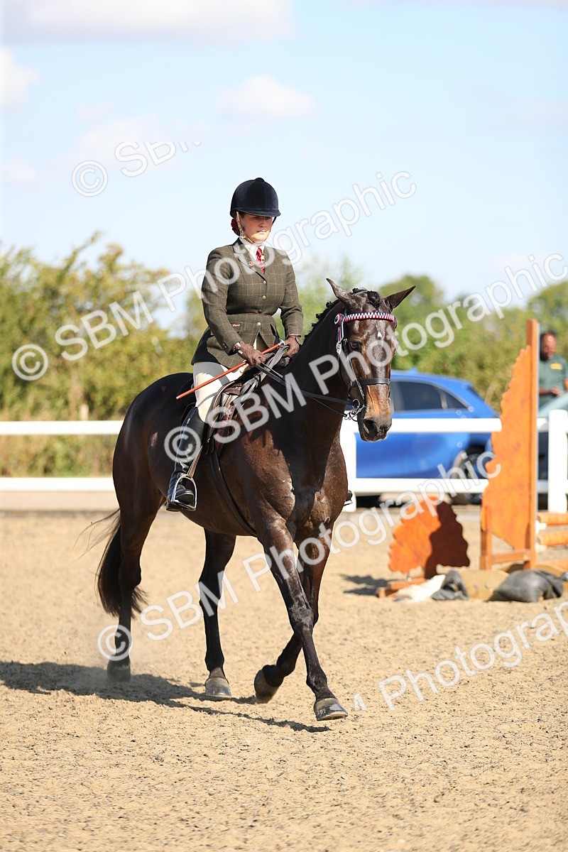 SBM_02318 - Class 43 Ridden Competition Horse/Pony