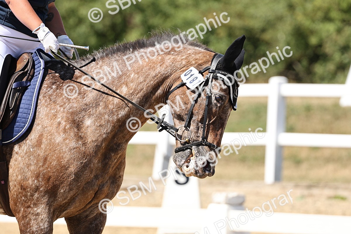 SBM_002634 - Prelim 4 - 13.41-16.04