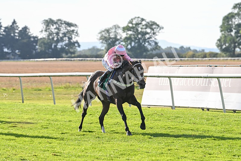 160924-Race 7-Style Of Life-3262 - Race 7