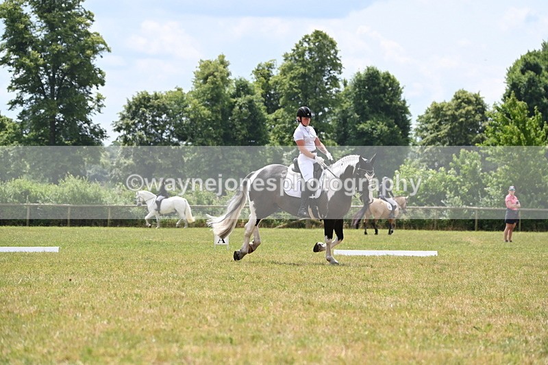 WJ6_6887 - Time 11:48 to 12:22