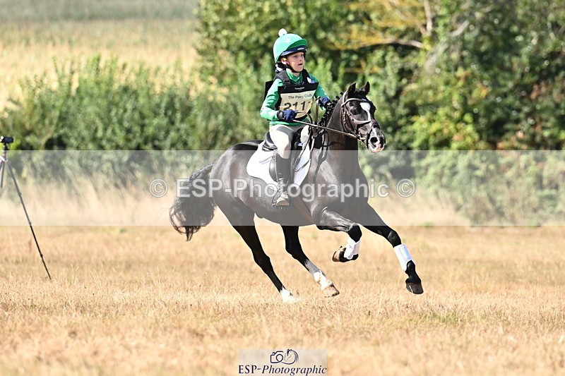 250824A-152122-38740 - 2111-Arya.Sharpe-Midnight.Master.Romeo