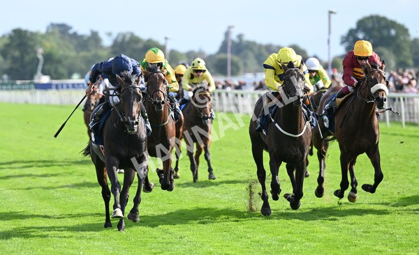 220825-240 Frescobaldi - Race 6 4.45pm British Stallion Studs EBF Convivial Maiden Stakes
