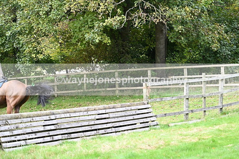 WJ7_4613 - Camera 1 Line 3