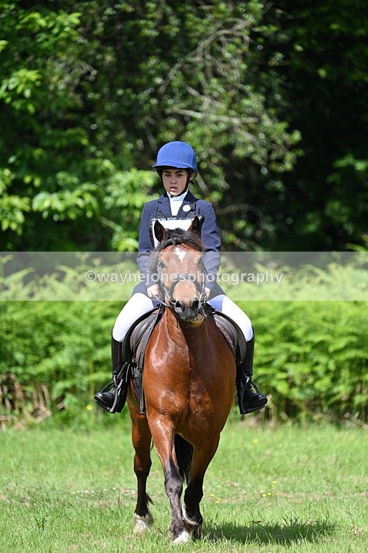 WJ7_1187 - Class 11 Condition & Turnout