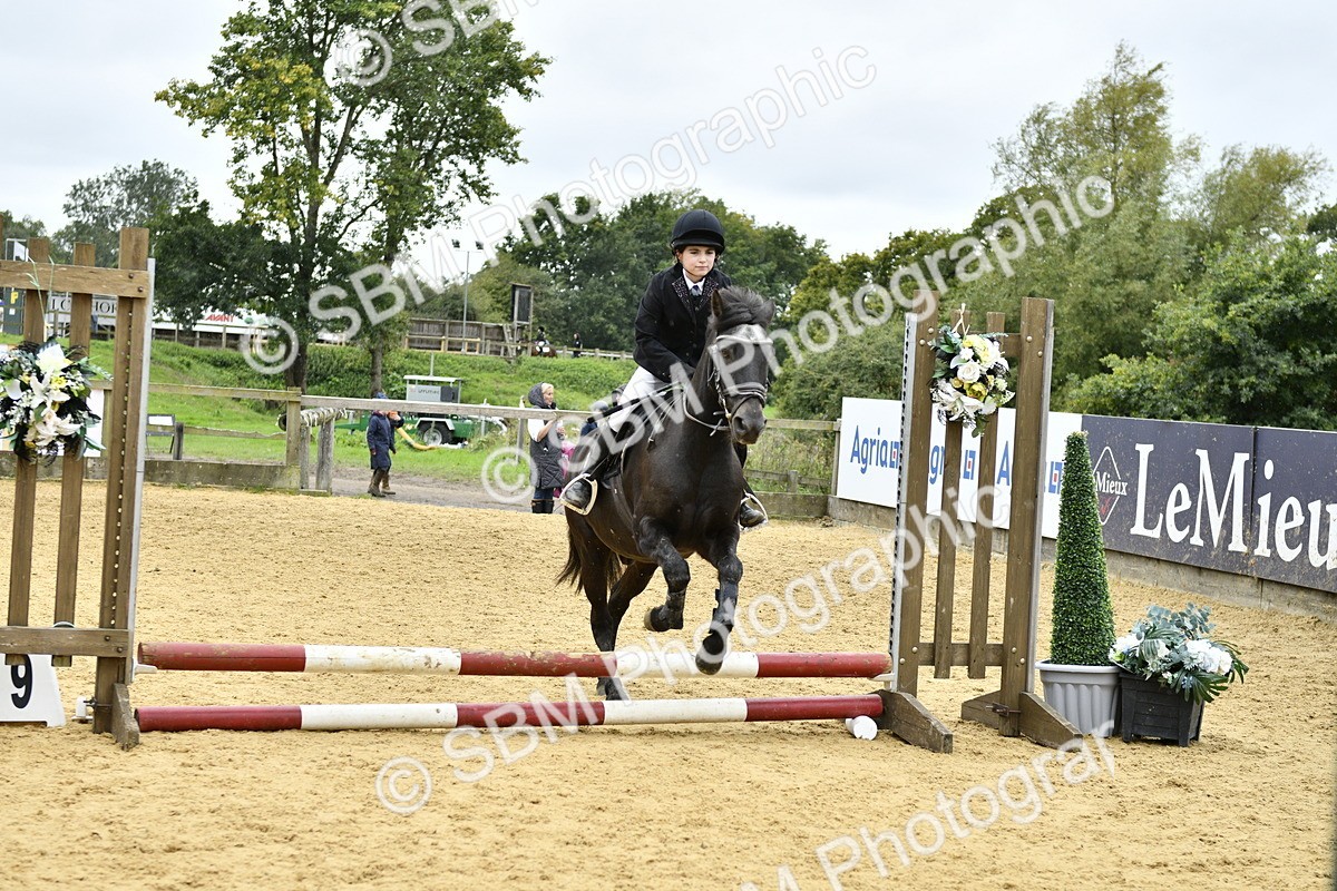 SBM_68066 - J2b - Mini Tour Junior Pony 30cm championship