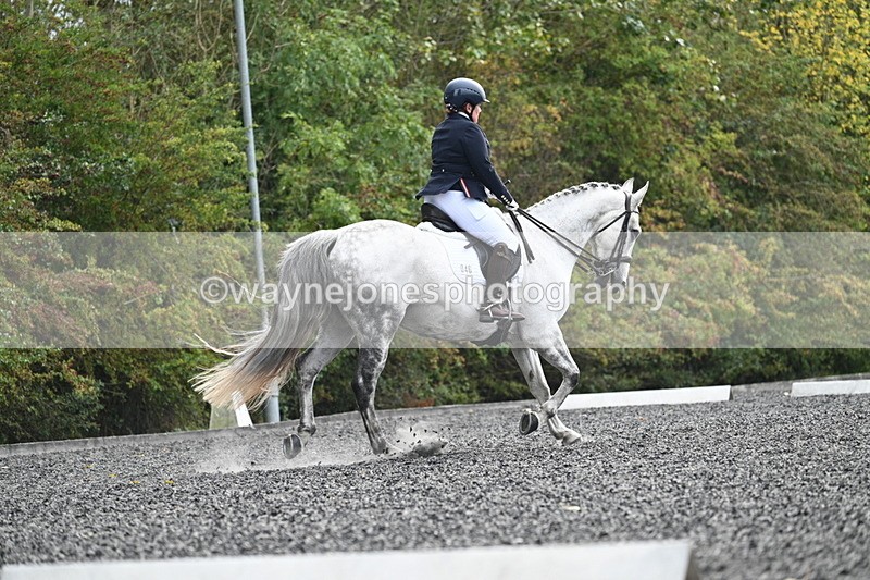 WJ7_6902 - Time 14:49 to 15:14