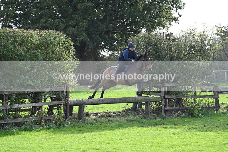 WJ7_0920 - Time 14:27 to 15:11