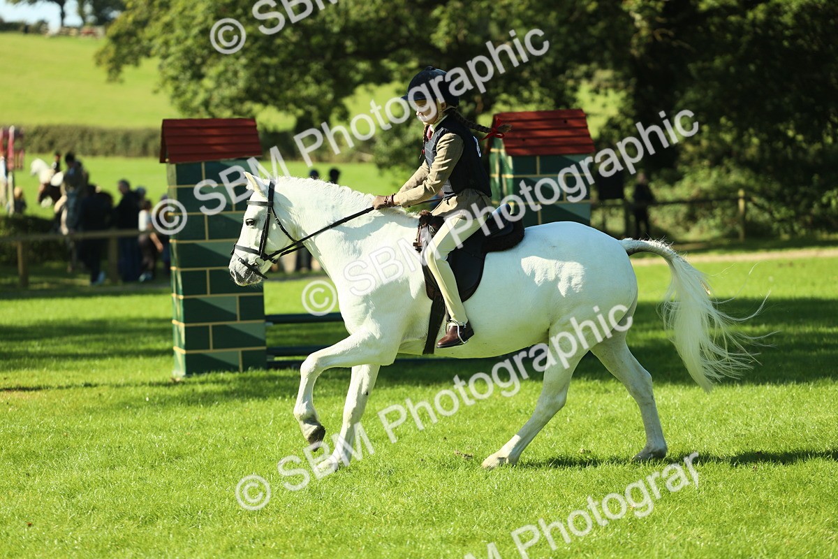 SBM_37512 - S29 - Novice & Newcomers Working Hunter Pony