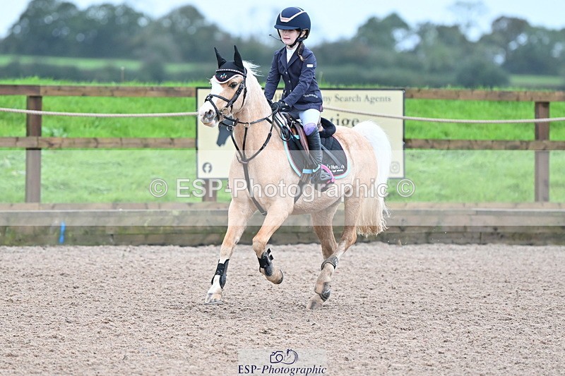 231029A-090553-02282 - 50cm Clear Round