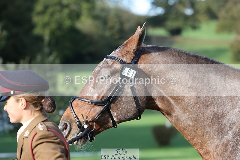 241027-102523-15881 - 501-Captain.Holly.Day-MUSTANG