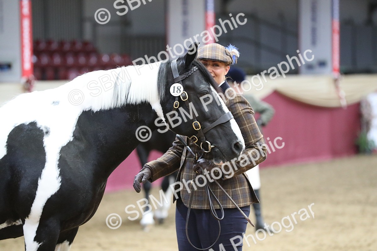 SBM_06406 - Class 9R Regional- IH Pre Vet