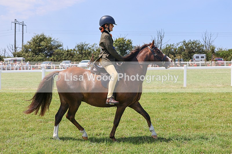 IMG_3038 - M&M Mini Ridden Championship