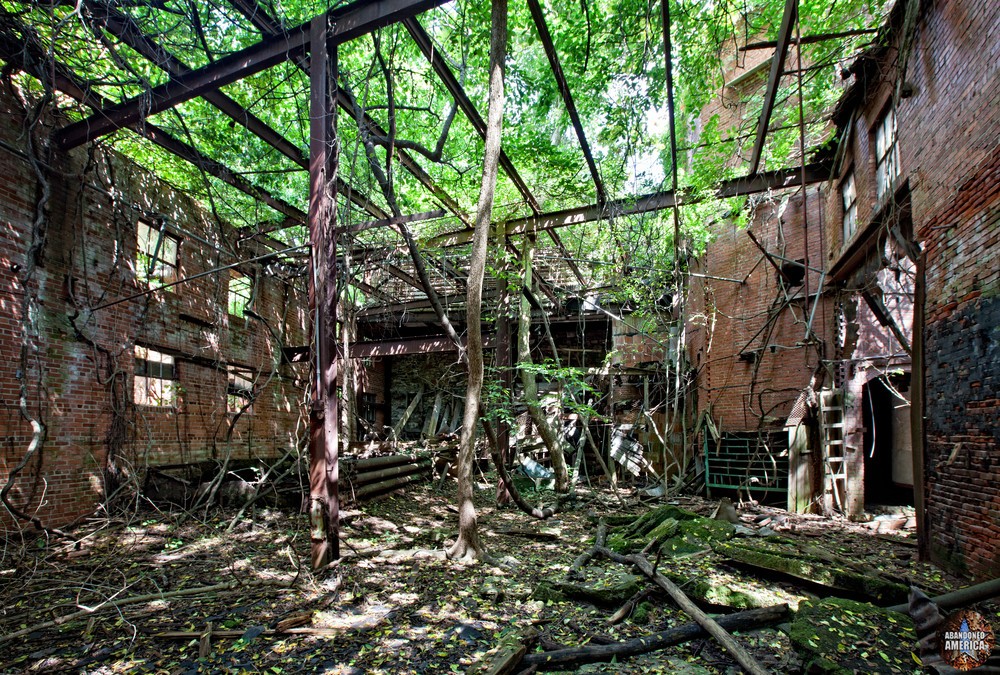  - Barnes' Meat Packing Company*
