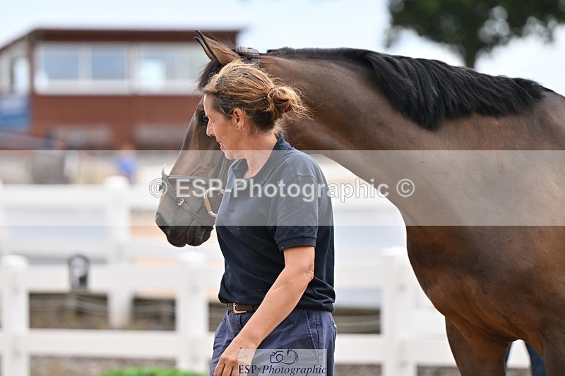 250716-145248-01471 - Trot Up 2.30 to 3.30