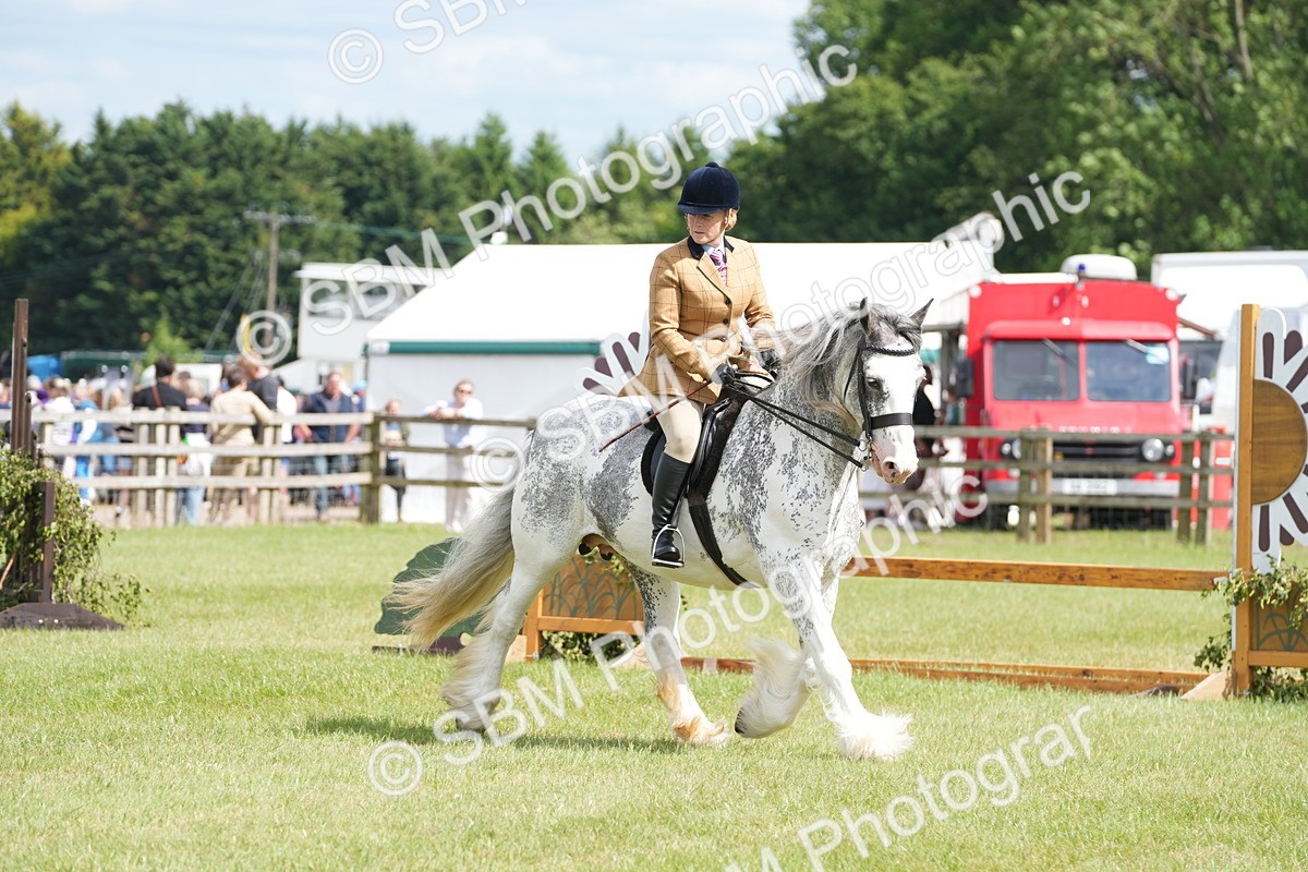 SBM_17260 - Class 107-108 - LIHS BSPS Performance Coloured Horse Pony