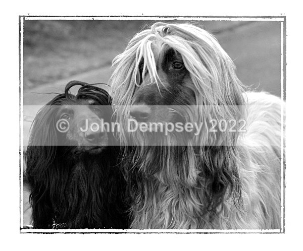 Two From Three - B&W