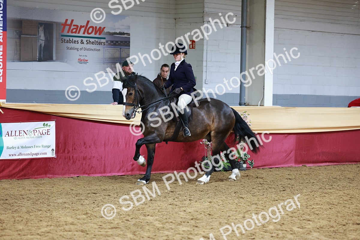 SBM_18583 - Class 952 - M&M Ridden Supreme Final