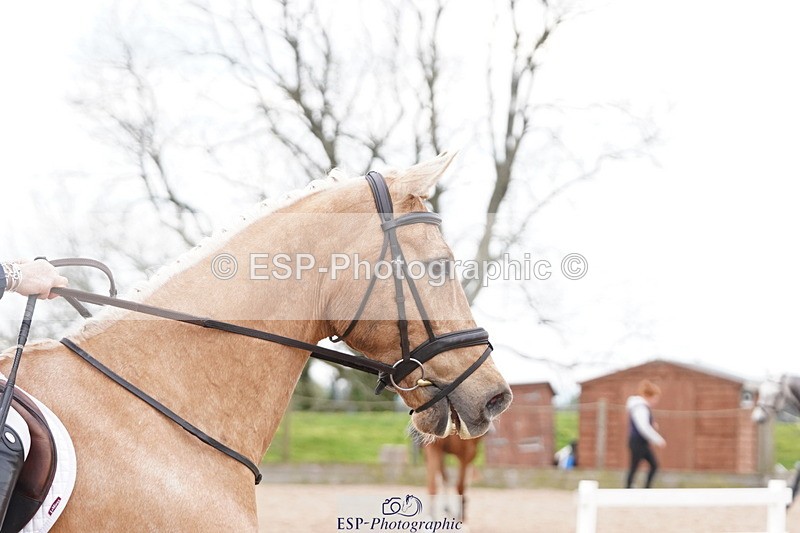 250419-162728-13823 - 860-Jane.Rogers-CORRIEVIEW.MERLIN.MAGIC