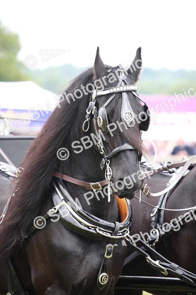 SBM_07051 - Class 16 - Light Trade