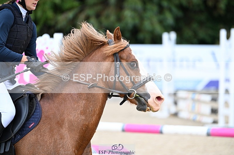 250622A-115006-01271 - 60cm