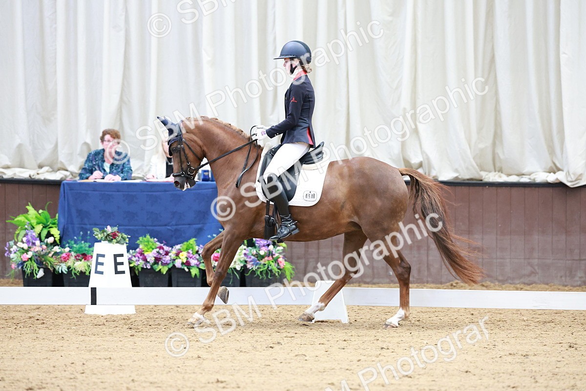 SBM_017196 - Class15 - FEI Pony