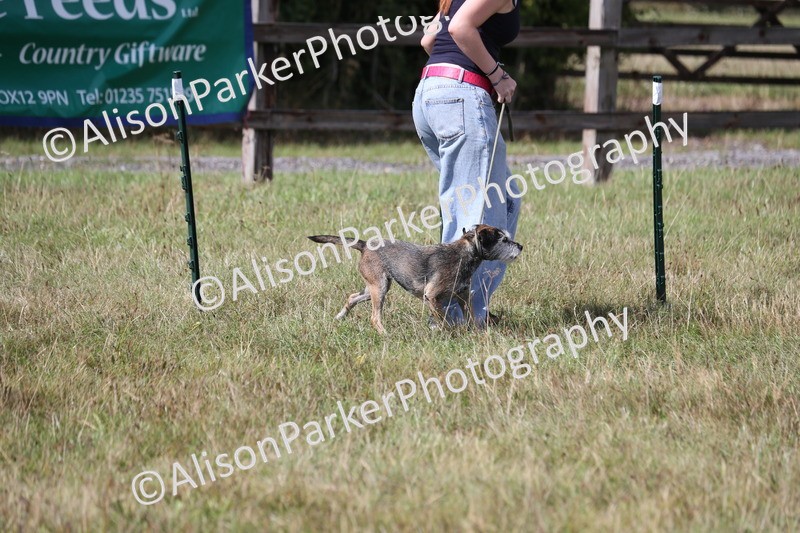 20260906-3421 - Class 34 - Dog Agility