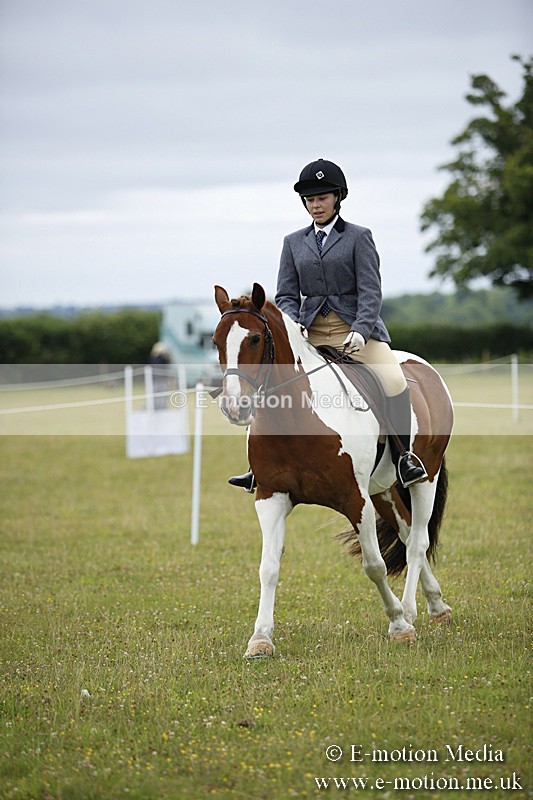 BVR160717-69 - Ring 1 BVRC Show 16/07/17