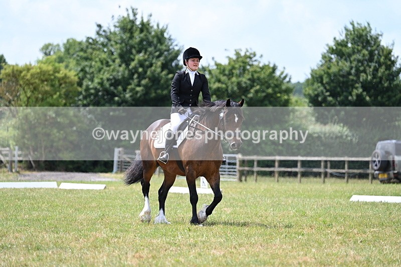 WJ7_5567 - Time 11:52 to 12:10