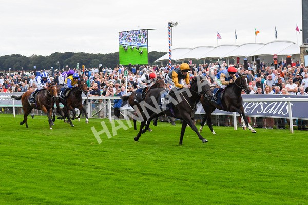 230823-Race 2-Indian Run-0337 - Race 2 2.25pm Tattersalls Acomb Stakes
