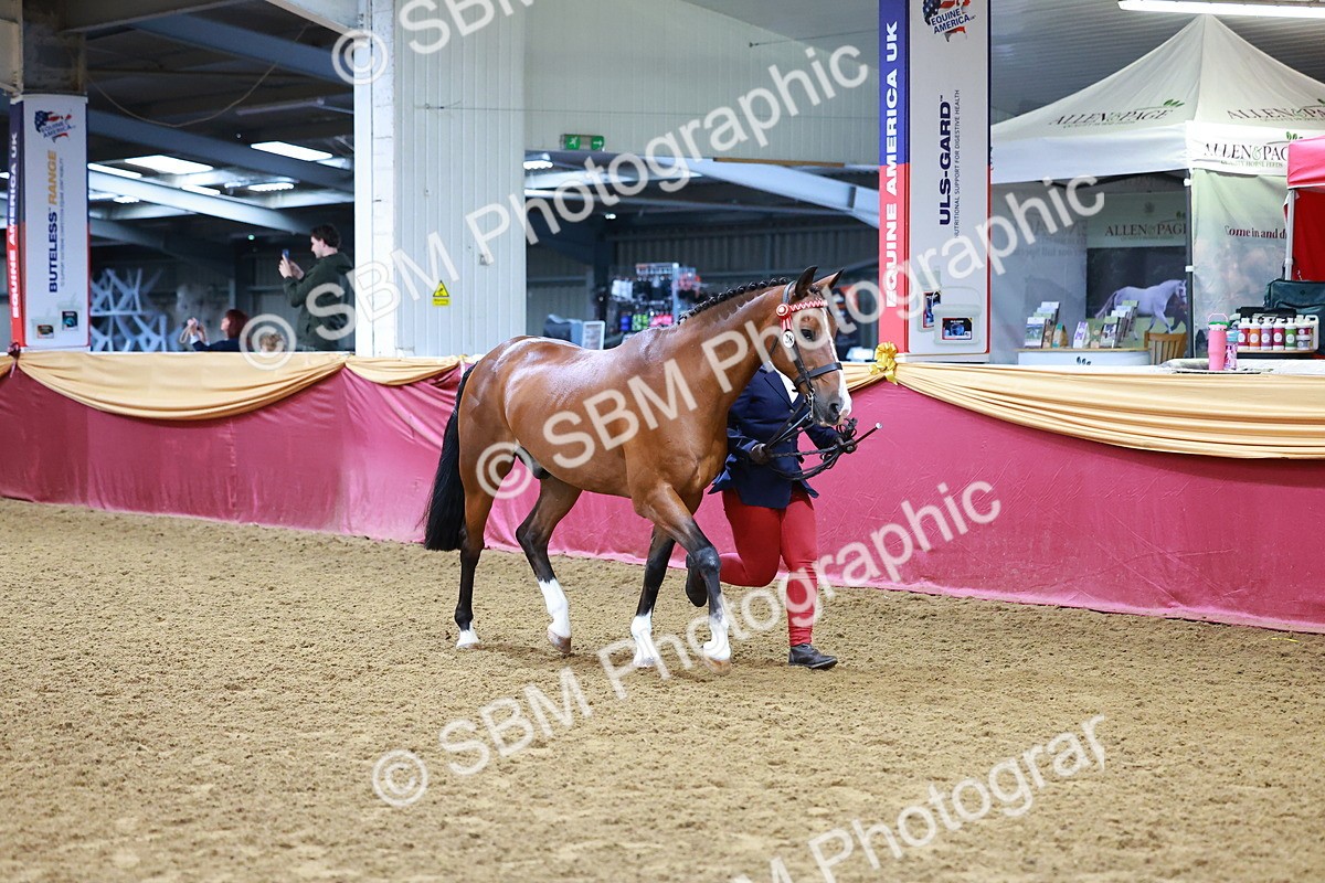 SBM_16142