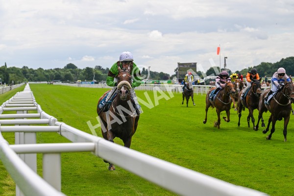 140624-Race 1-Tolstoy-3725 - Race 1 1.50pm Andy Thornton Hospitality Furniture Apprentice Handicap