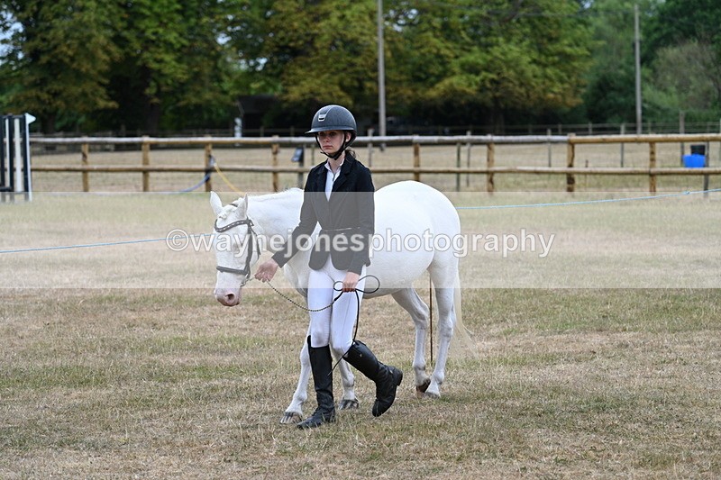 WJ7_8022 - Class 4 Prettiest Mare up to 14.2hh