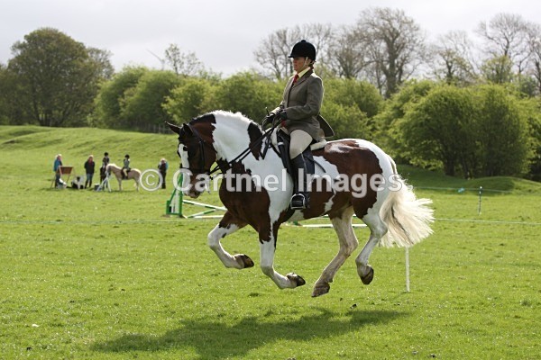M_MB0011 - MBRC Ridden/Dressage May 2013