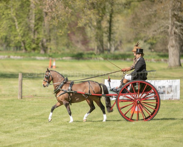 Attelage -802 - CIAT Glamis 2026